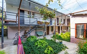 The Kiwi House Pensionat